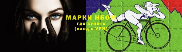 дурь Алзамай