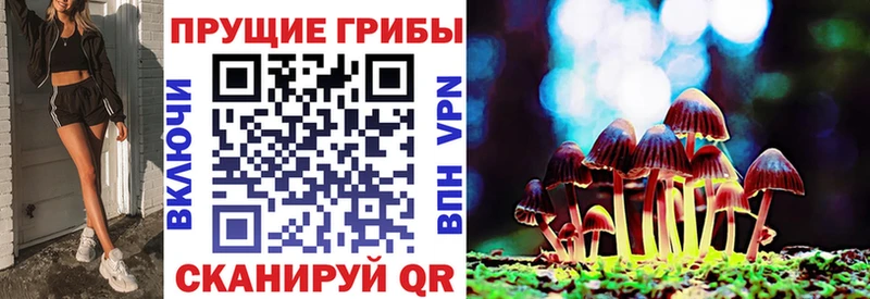 Галлюциногенные грибы Psilocybine cubensis  купить   маркетплейс официальный сайт  Арзамас 