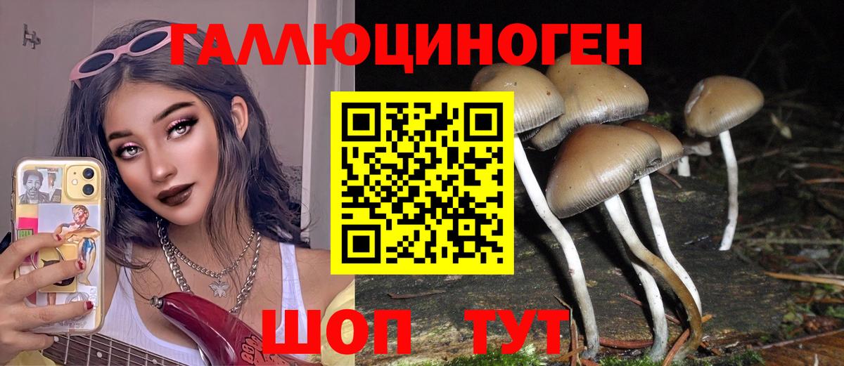 купить наркотики сайты  Галлюциногенные грибы MAGIC MUSHROOMS  Вход с VPN  Арзамас 